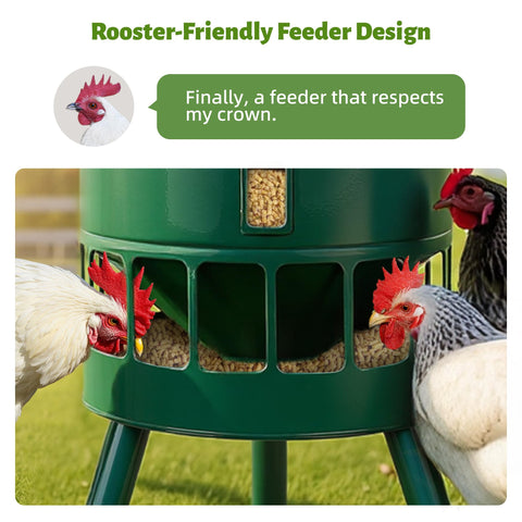 Green KOL coop feeder ready for outdoor installation