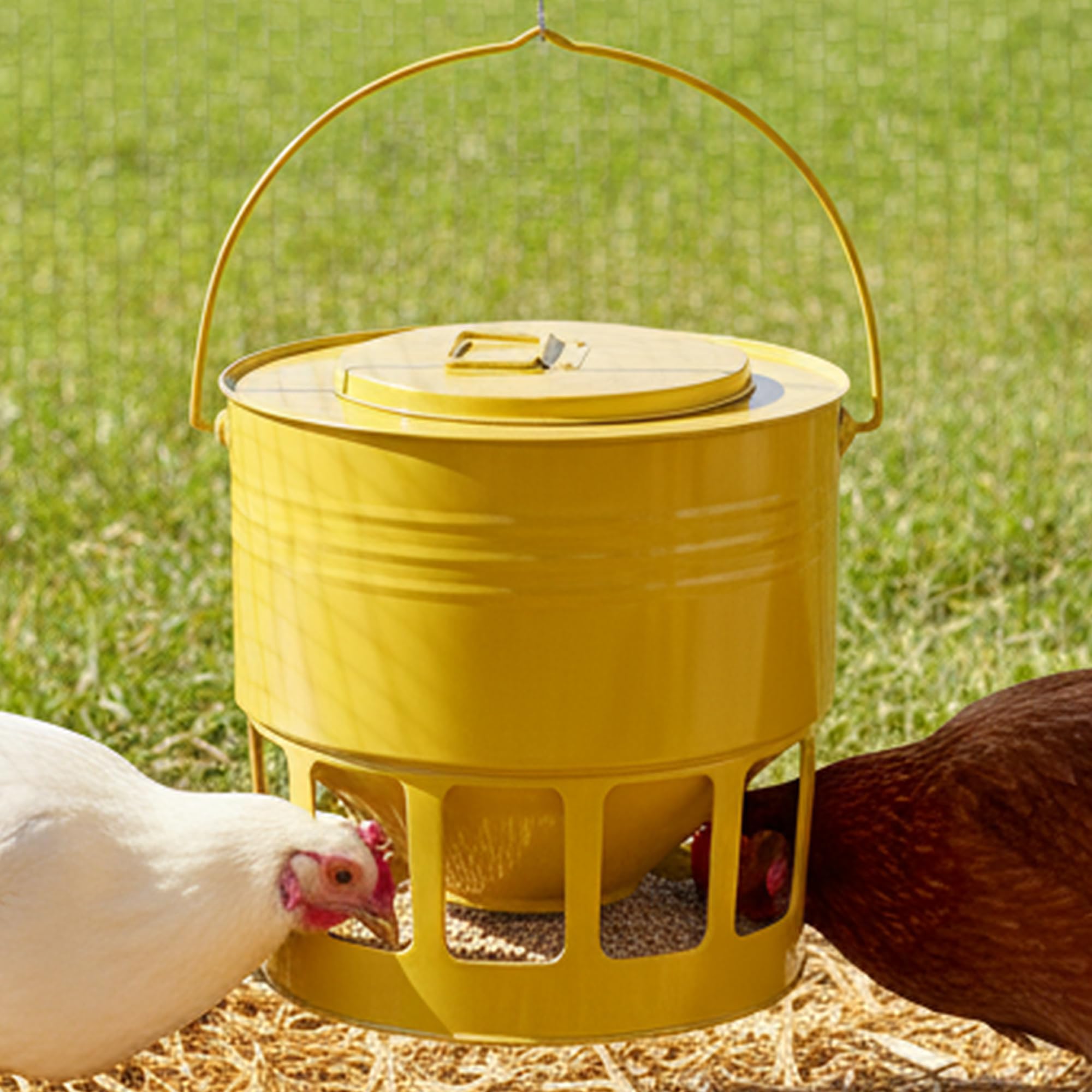 KOL hanging chicken feeder 20lbs yellow installed in coop for adjustable feeding.
