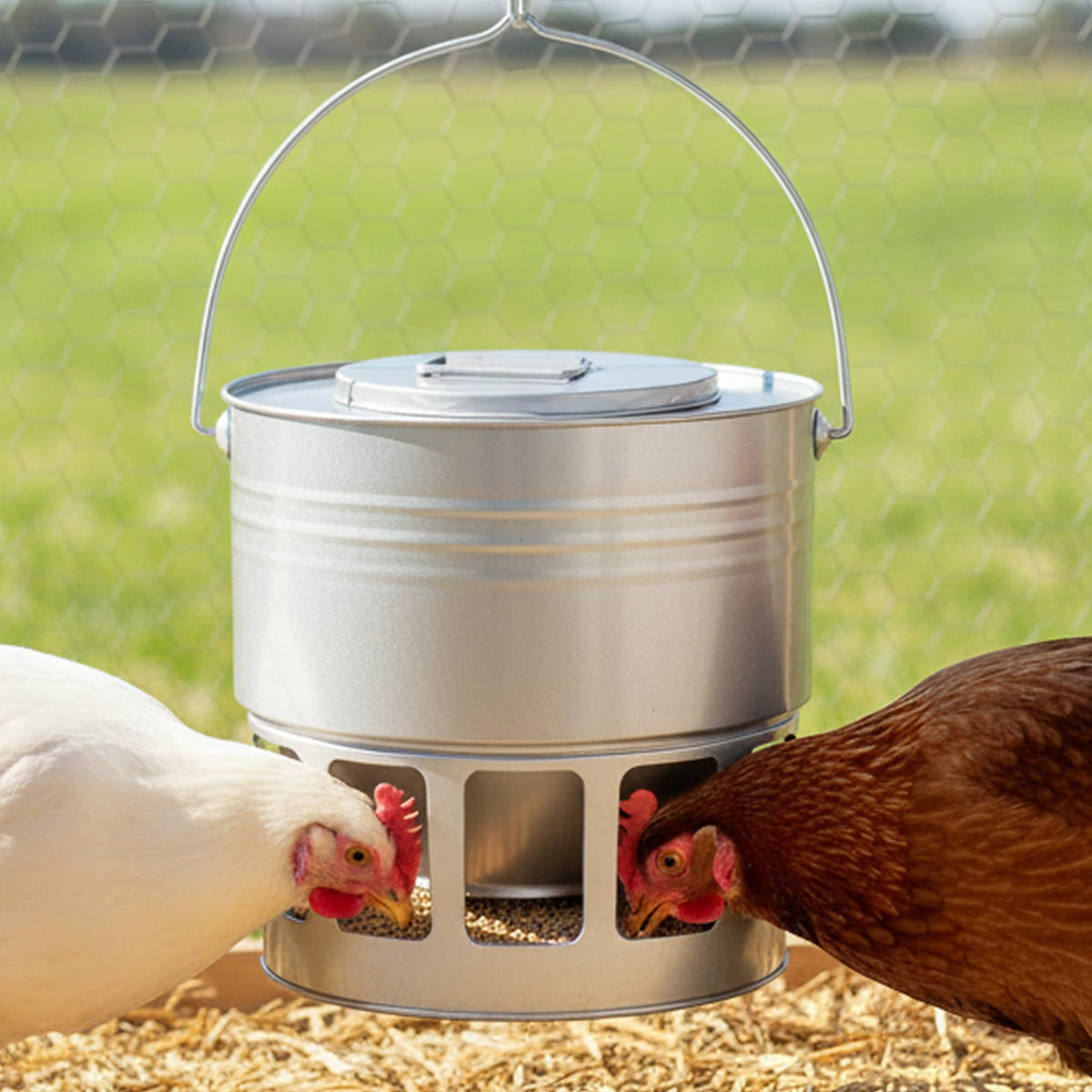 KOL hanging chicken feeder with 20lb capacity ready for coop use