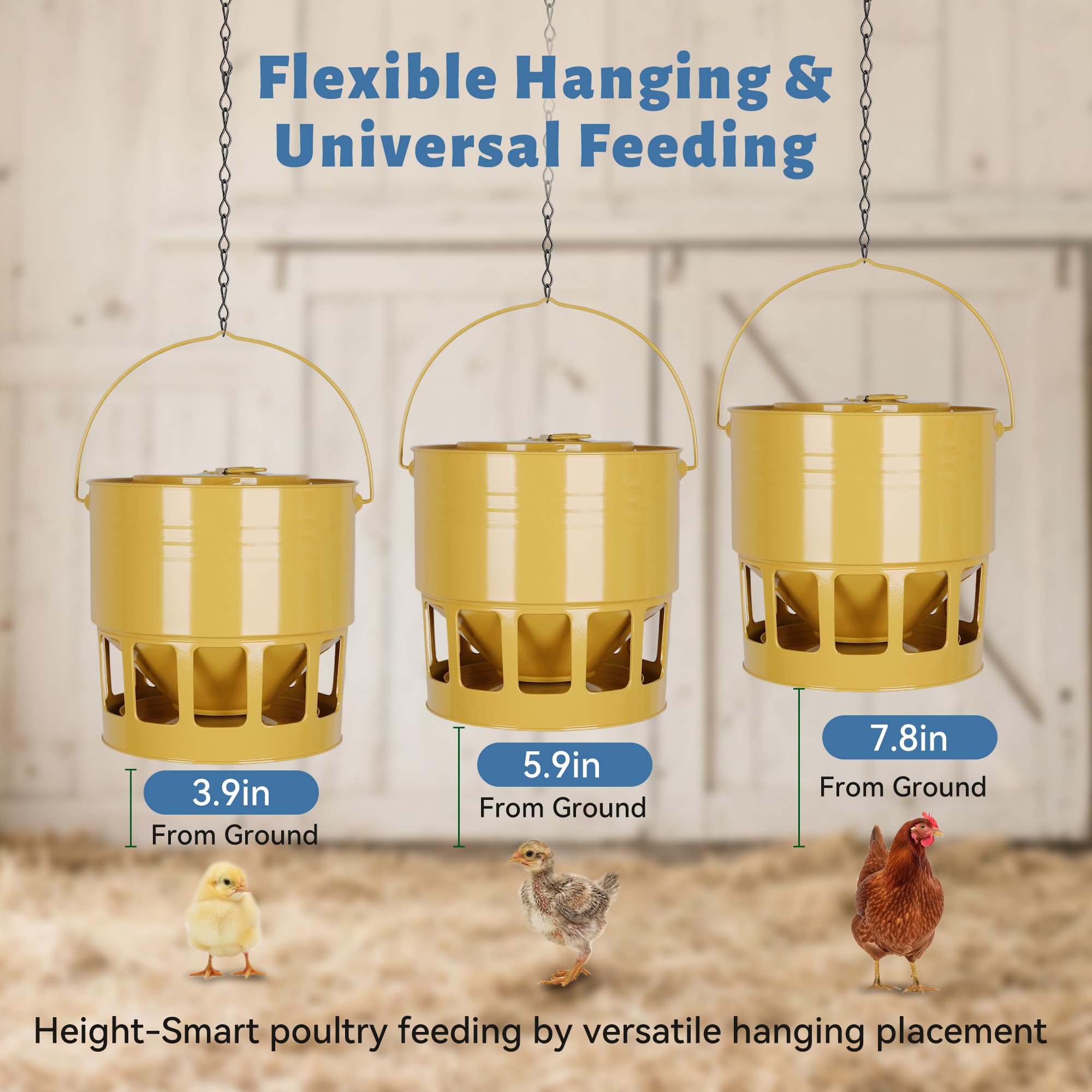 KOL metal chicken feeder with 12 ports provides spill-free feed flow.