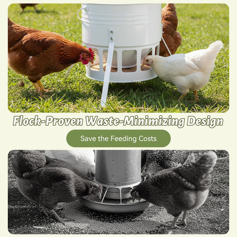 KOL feeder features smooth-edged ports to protect chicks.