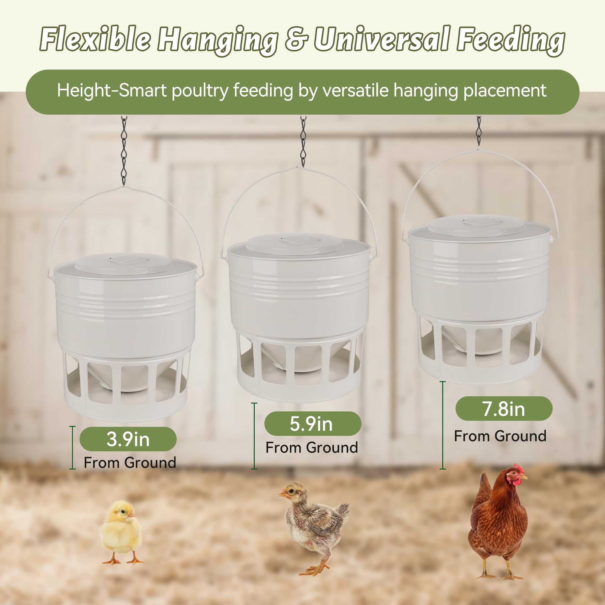 KOL metal poultry feeder with 12 ports for smooth multi-age feeding