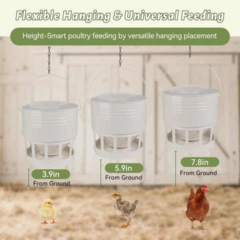 KOL metal poultry feeder with 12 ports for smooth multi-age feeding