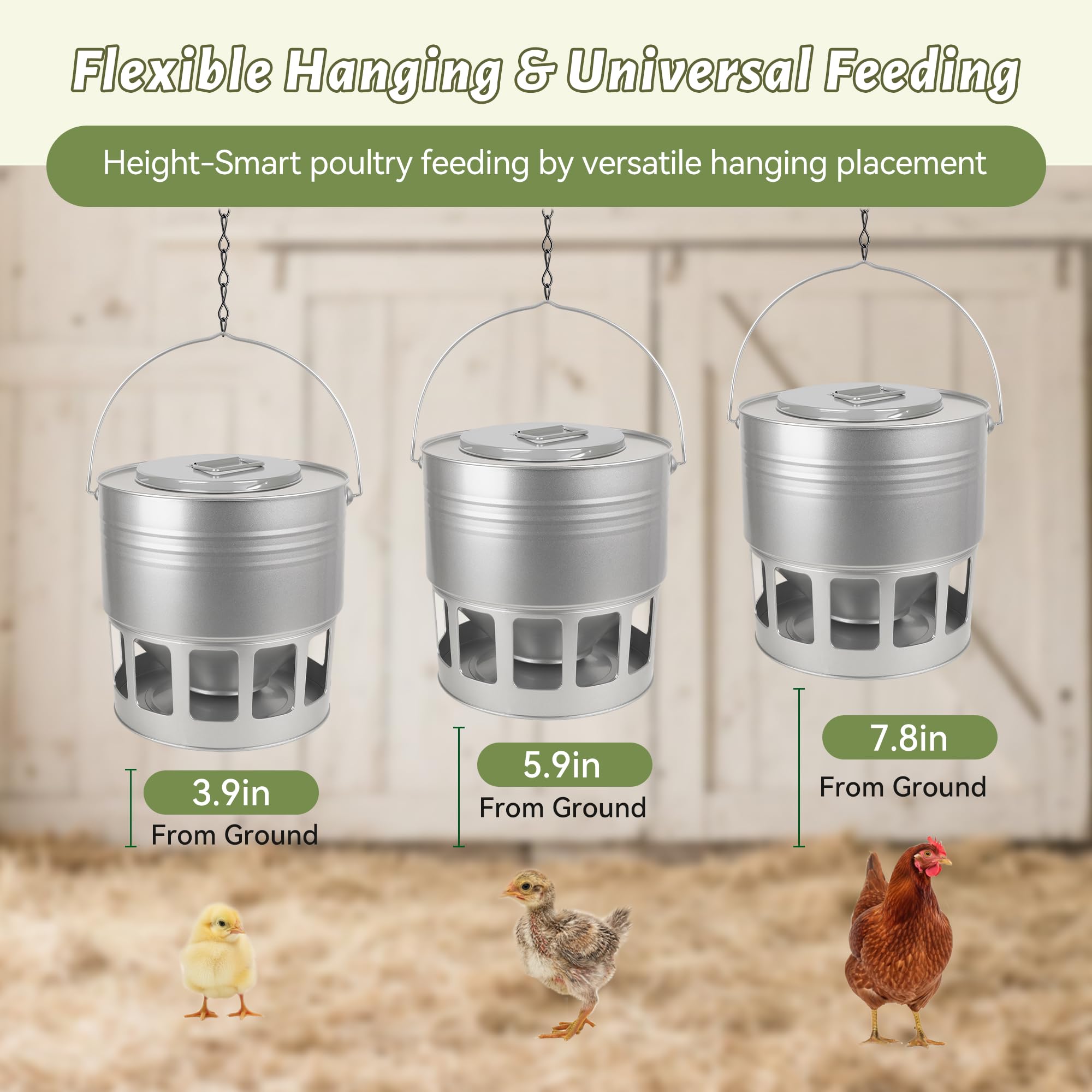 KOL 12-port feeder showing spill-proof gravity design for hens