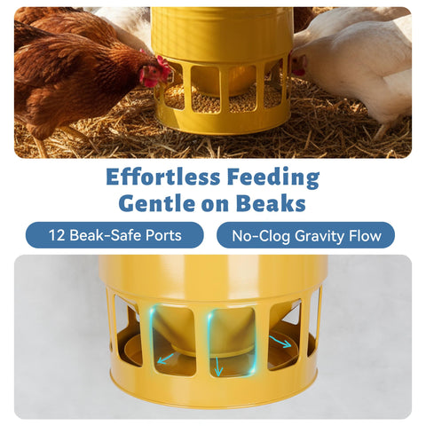 KOL poultry feeder no waste keeps feed clean and accessible for all ages.