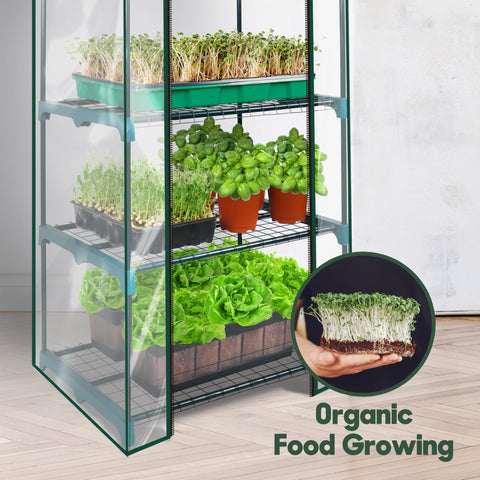KOL racks support attachable grow lights for seedlings