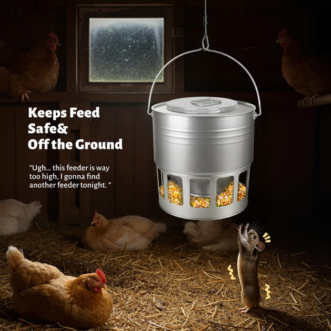 KOL 12-port gravity feeder in action inside coop