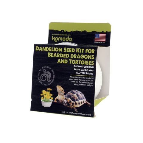 Komodo Dandelion Kit with grown dandelions ready for bearded dragons and tortoises to snack.