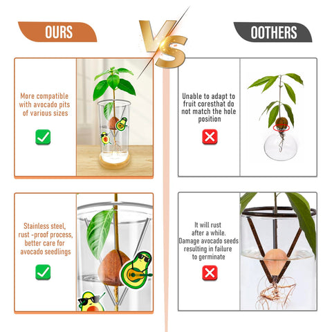 Three avocado stickers add decorative touch to KONIDUN sprouting kit