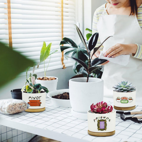 KONROOWEI 3-2-inch pot set: compact, gift-ready planters for small greens