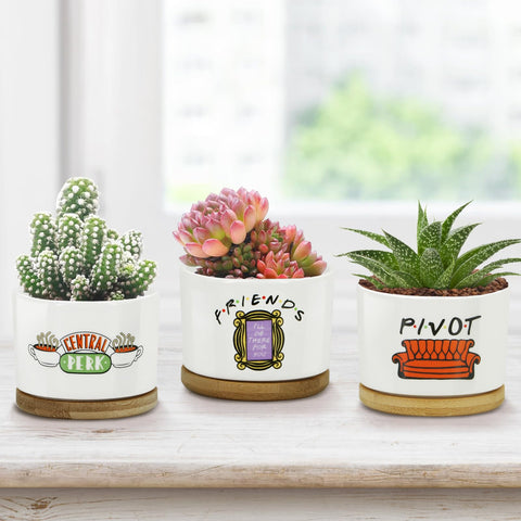KONROOWEI ceramic pots friends collection: durable decor for succulents and small greenery