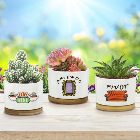 KONROOWEI friends decor ceramic pots display: enhances shelves, desks, and windowsills