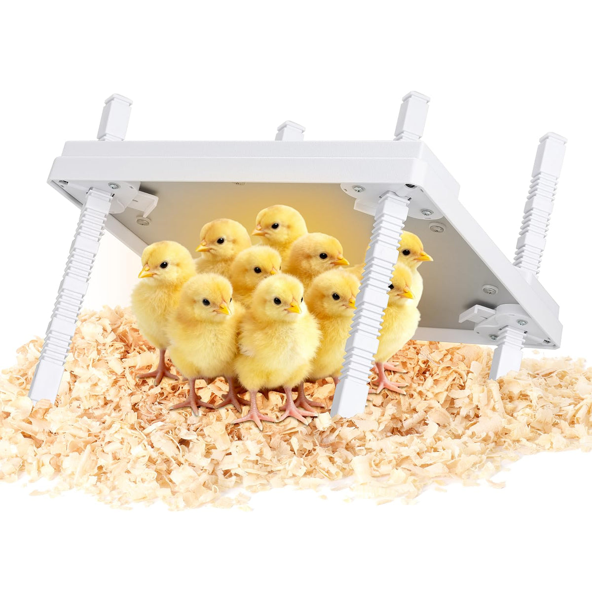 KONYXALU Chick Heat Plate 12x12 top view provides safe warmth for up to 20 chicks indoors.