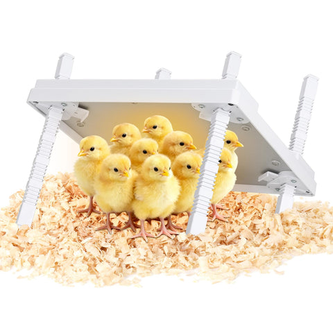 KONYXALU Chick Heat Plate 12x12 top view provides safe warmth for up to 20 chicks indoors.