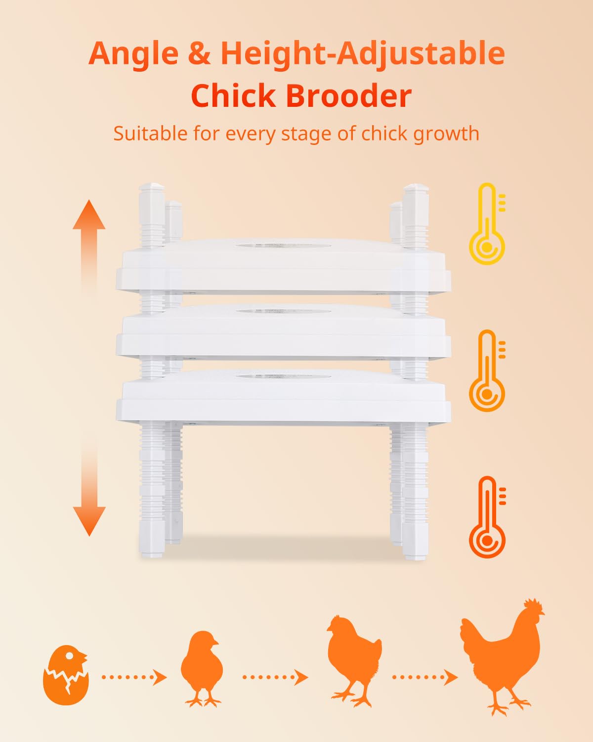 KONYXALU Chick Heat Plate 30W energy-saving design lowers power use while steady heat stays.