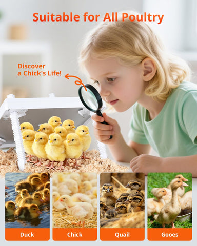 KONYXALU Chick Heat Plate even-heating aluminum base distributes warmth evenly across the plate.