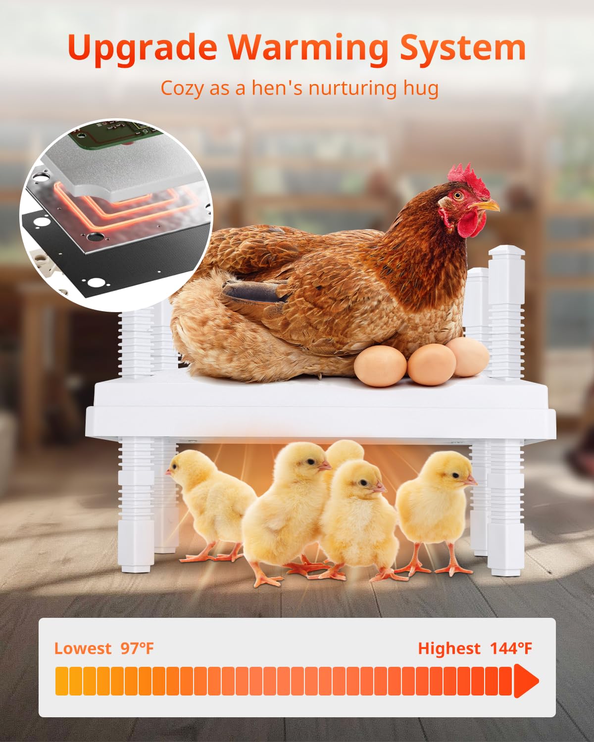 KONYXALU Chick Heat Plate height-angle adjustment ensures every chick receives ideal warmth.