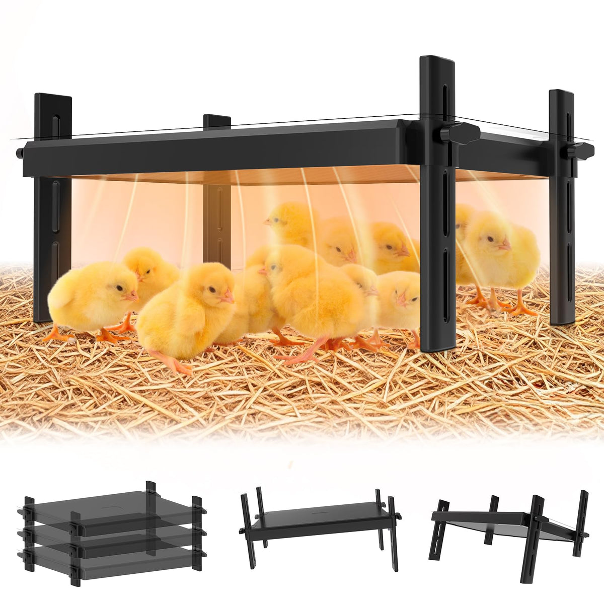 KOOHYIA 15x12.6 inch brooder plate showing roomy warmth for up to 25 chicks