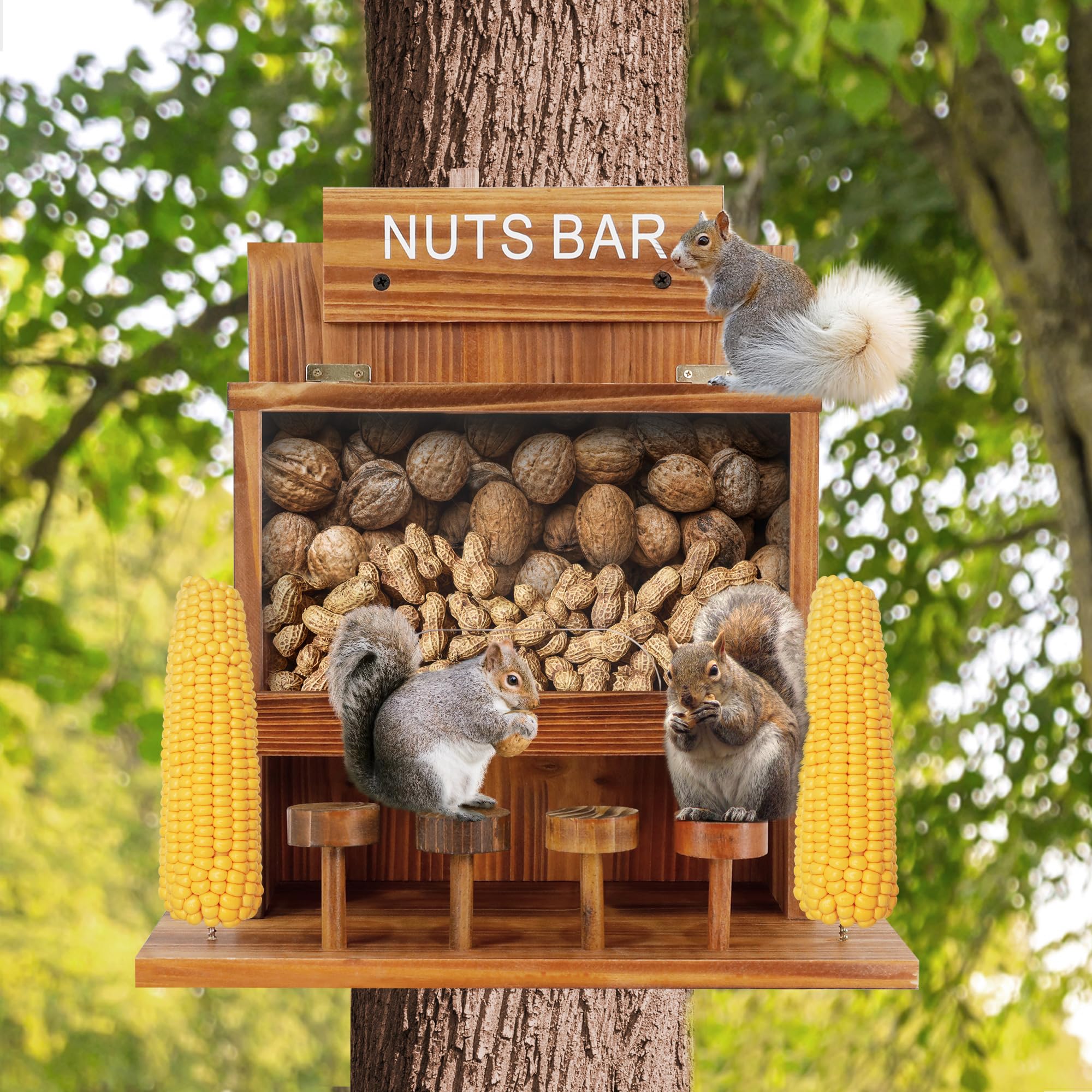KOOPRO Squirrel Feeder acrylic panel provides clear viewing of nibbling squirrels