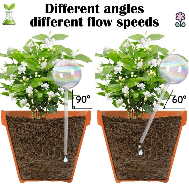 Koorabbee self-watering glass bulbs insert into pots with ease.