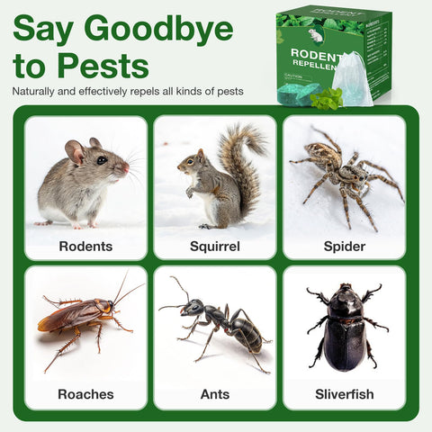 KOOSA peppermint scent emission highlights strong aroma effective against pests like mice and spiders.