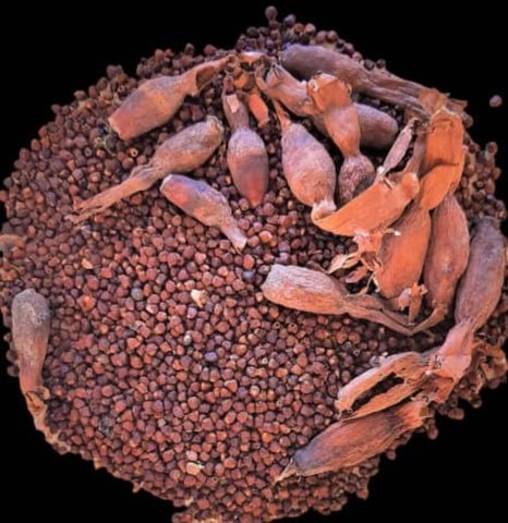 KOPABANA Alligator Pepper in a rice dish for bright flavor.