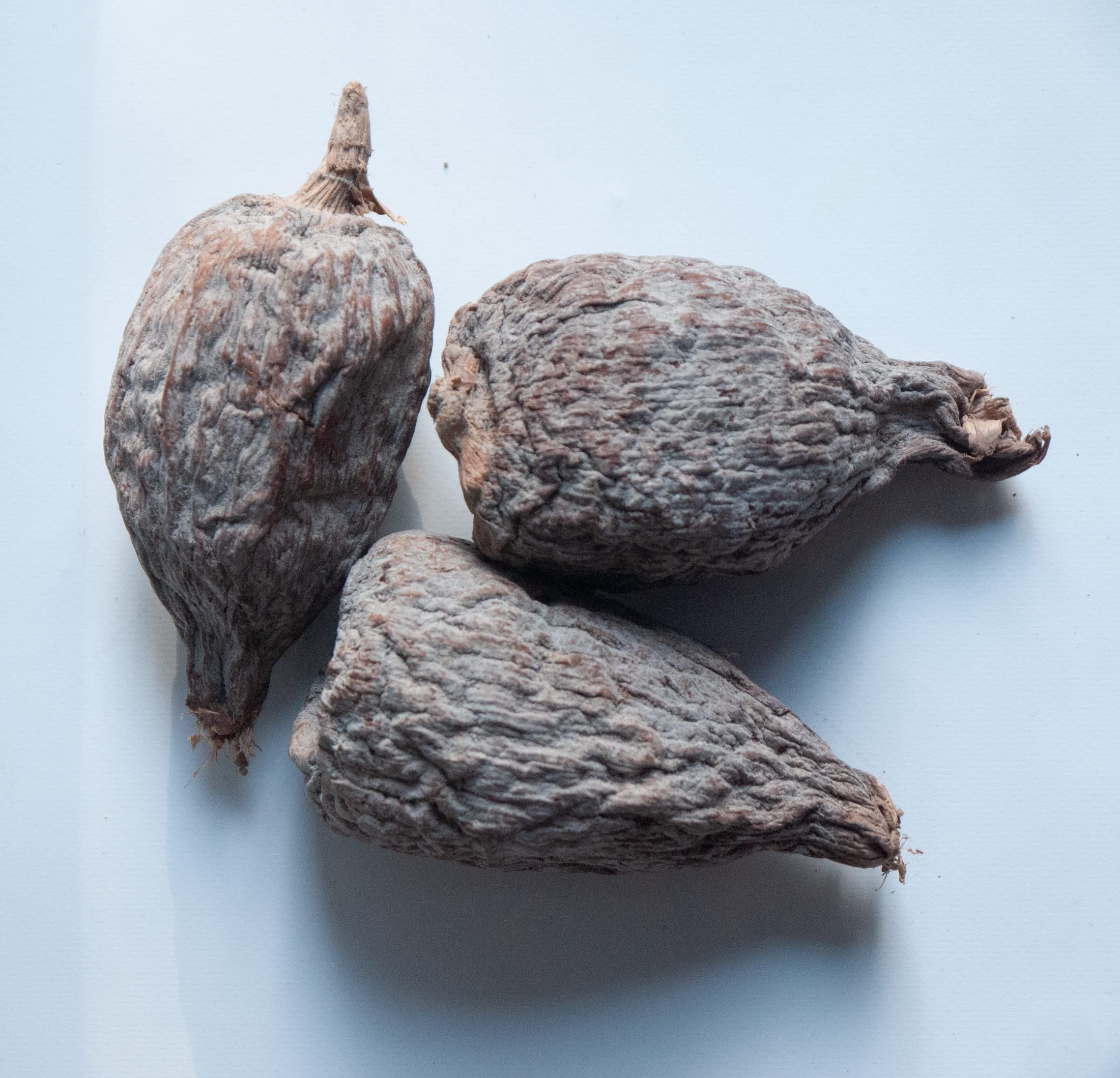KOPABANA Alligator Pepper stew aroma enriching soups and stews.
