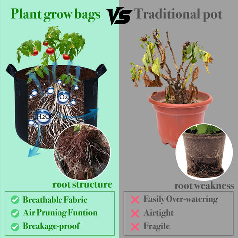 Kopotma breathable fabric promotes healthier root growth in every plant.