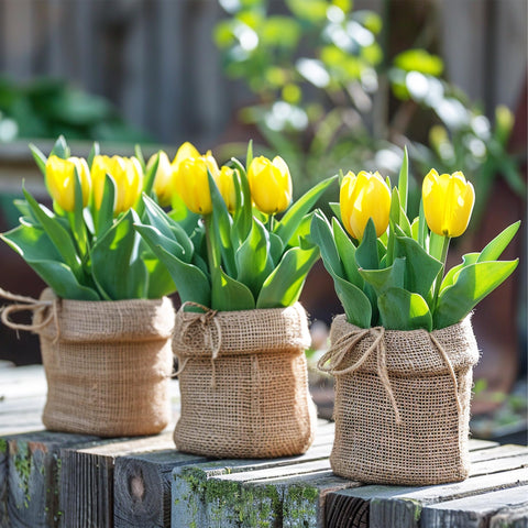 Koretech burlap roll reusable and sustainable garden accessory
