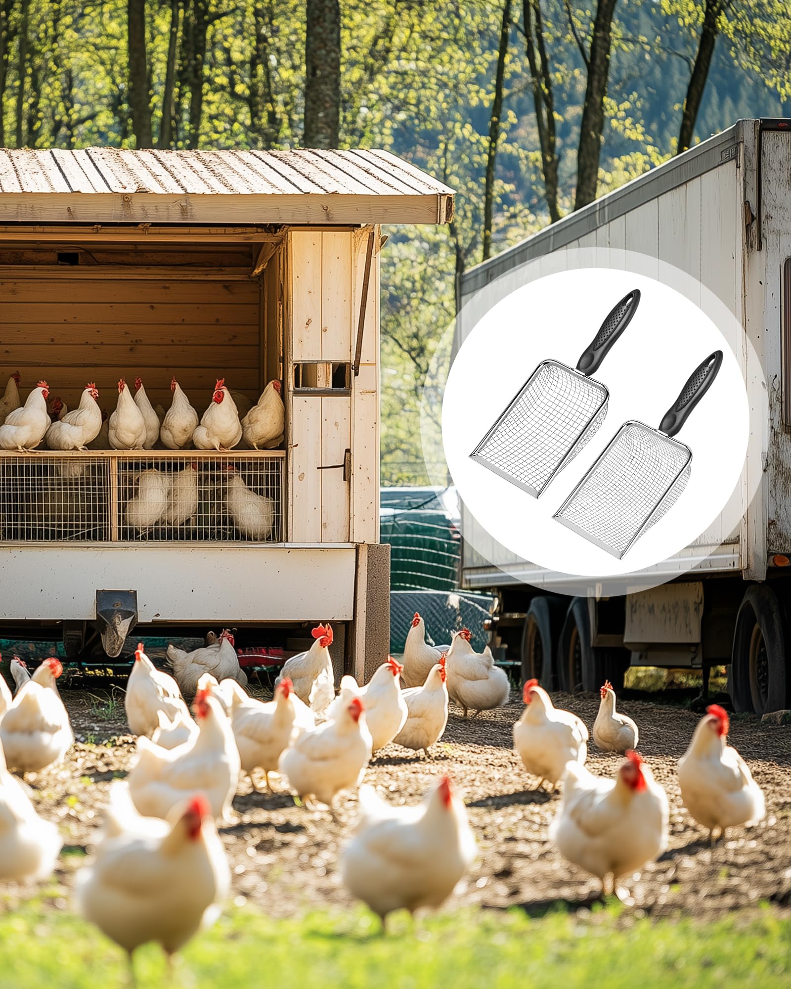 KOROI multipurpose coop scoop for backyard poultry and more
