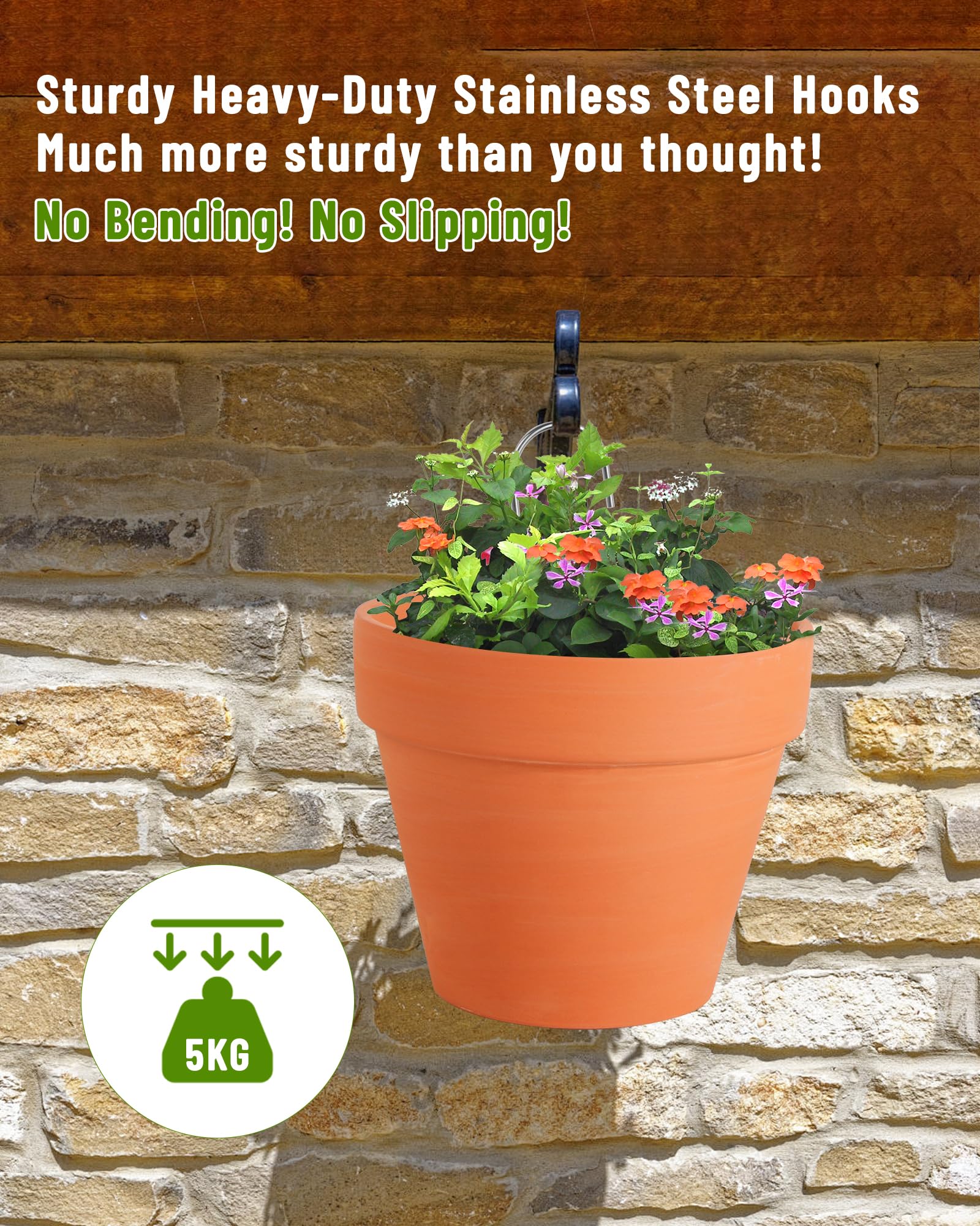 KOROI orchid pot hanger provides stable support for blooms.