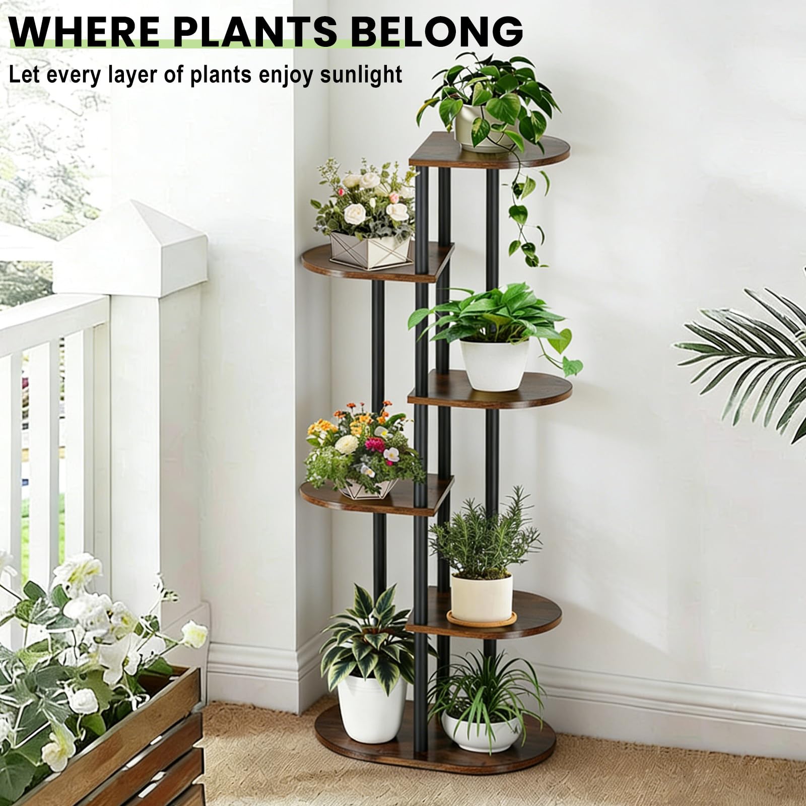 Korrie Home multi plant display suitable for bedroom and living room