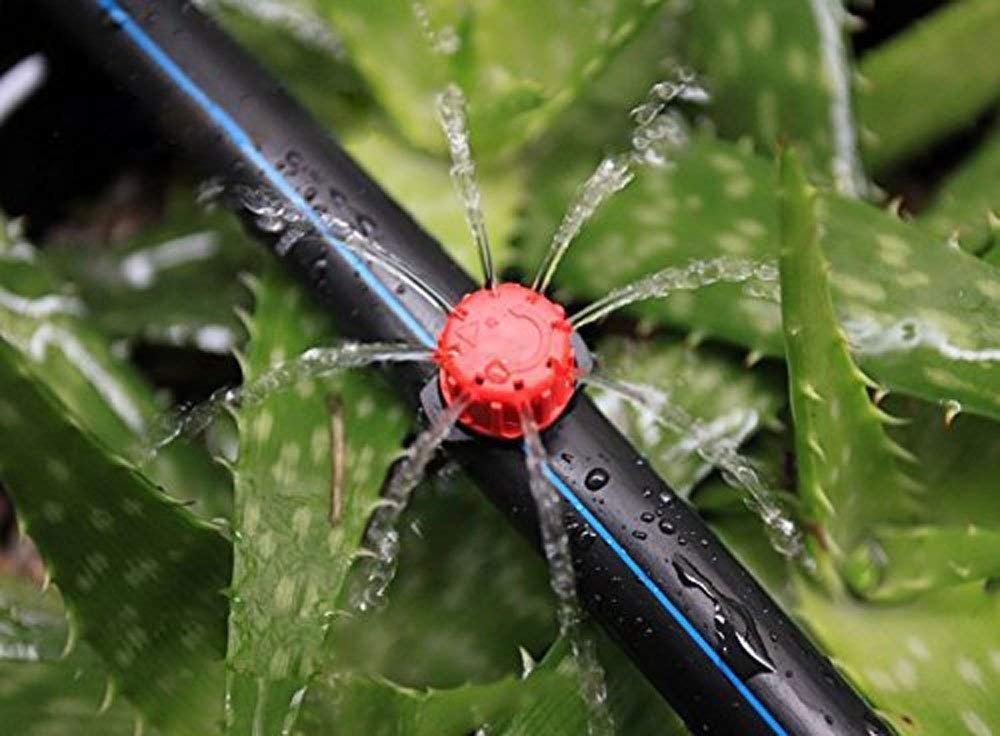 Korty wide coverage allows watering up to a 10-12 inch circle