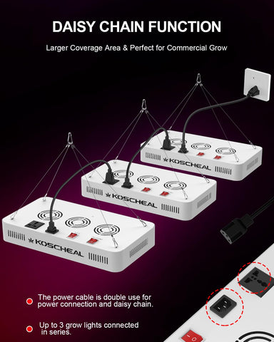 Koscheal KS2000 daisy-chain setup enables expanded coverage