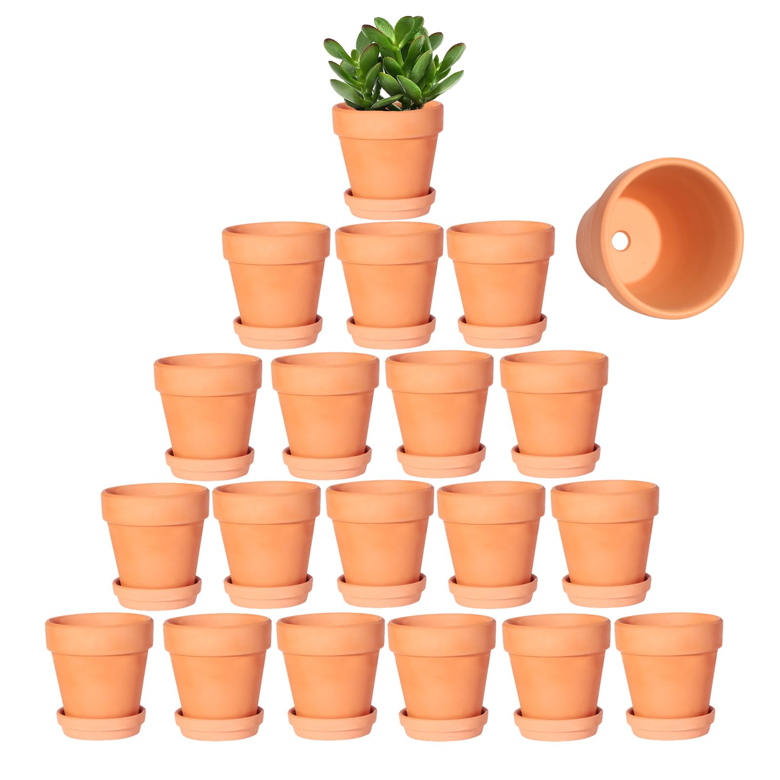 Kosrtuny 3-inch terracotta pot with saucer in a 20-pack arrangement for display