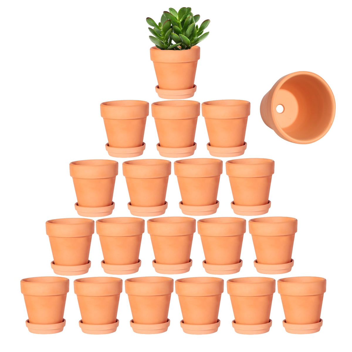 Kosrtuny 3-inch terracotta pot with saucer in a 20-pack arrangement for display