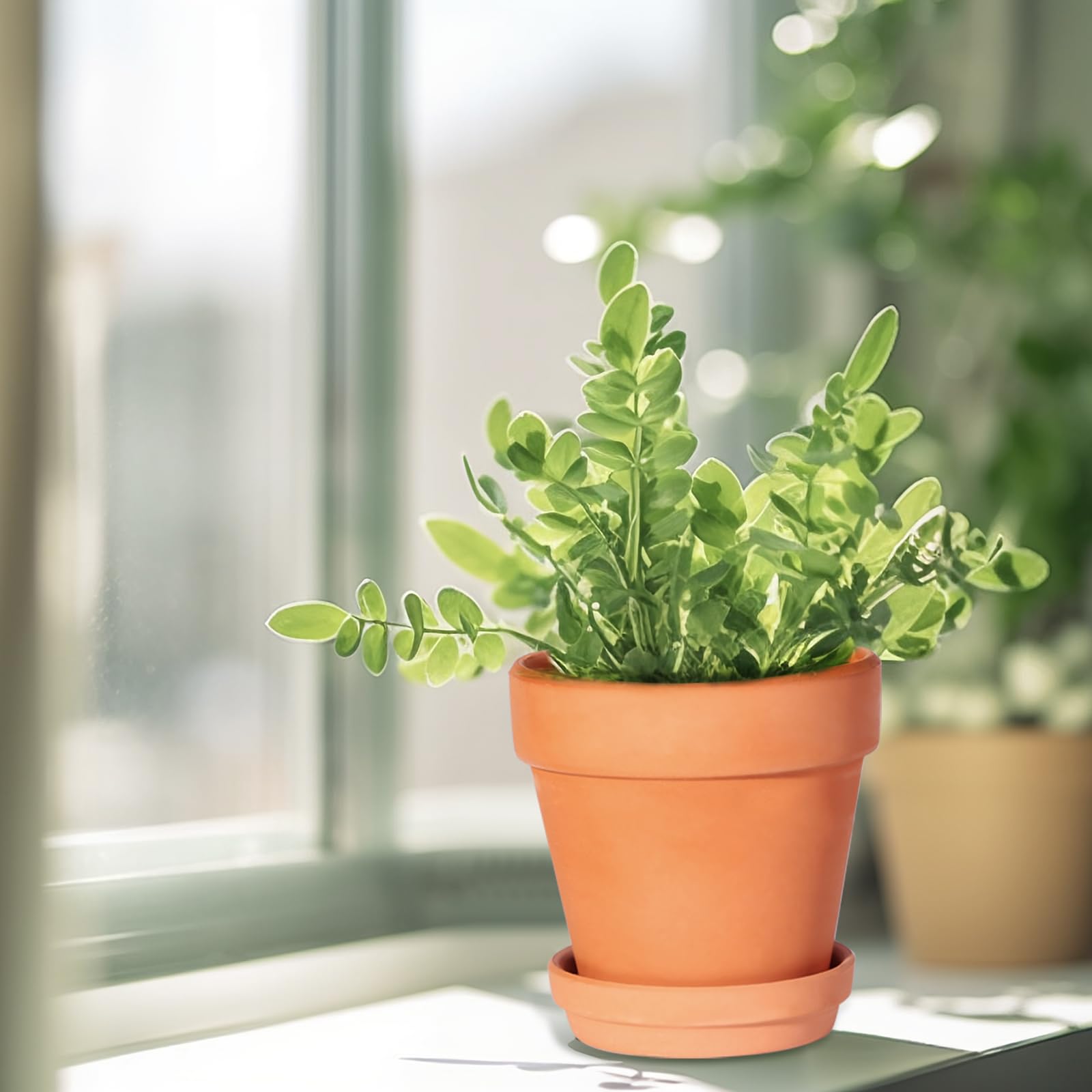 Kosrtuny terracotta pot on an office desk for a tidy plant accent