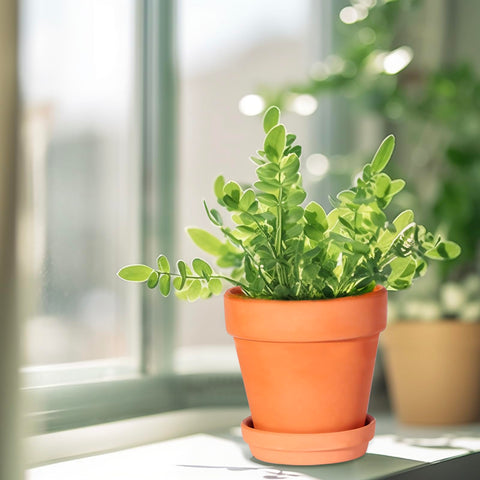 Kosrtuny terracotta pot on an office desk for a tidy plant accent