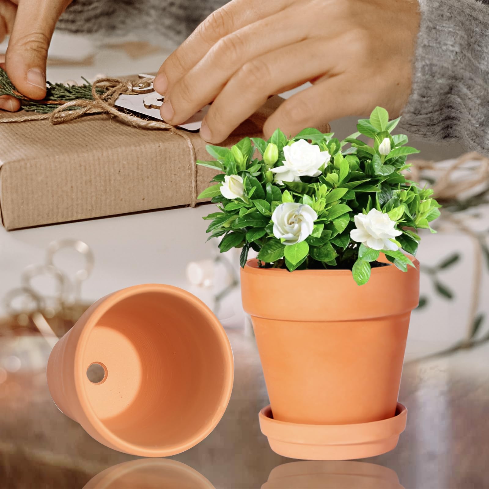 Outdoor-ready Kosrtuny terracotta pot in a garden setting
