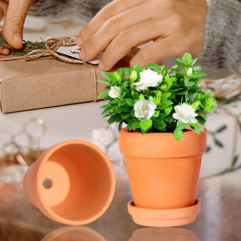 Outdoor-ready Kosrtuny terracotta pot in a garden setting