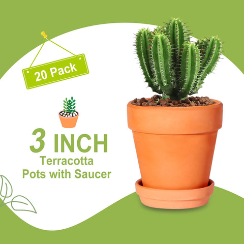 Succulent displayed in a Kosrtuny terracotta pot on a bright windowsill