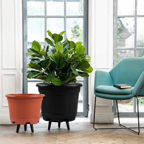 KPUVX 13 inch plant pot for larger specimens with style
