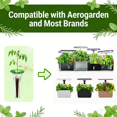 KPWIN grow domes provide humidity and airflow control.