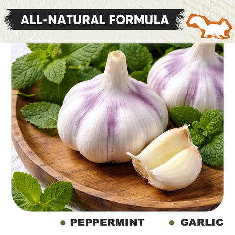 KQCWKH natural ingredients closeup showing plant-based protection