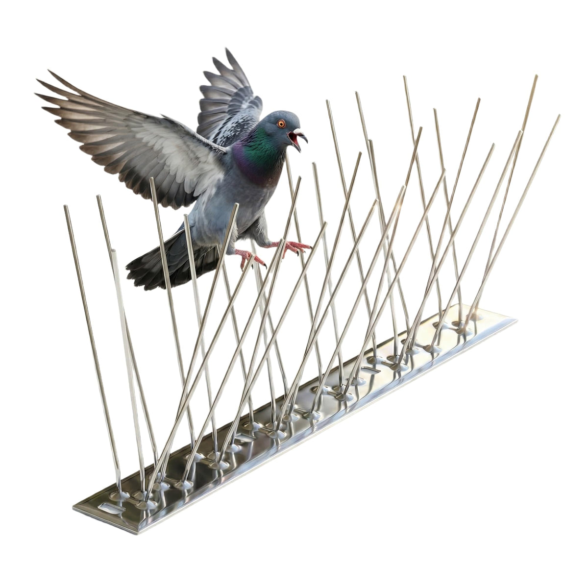 KraAra Bird Spikes six-pack coverage on a roof edge for durable bird deterrence.