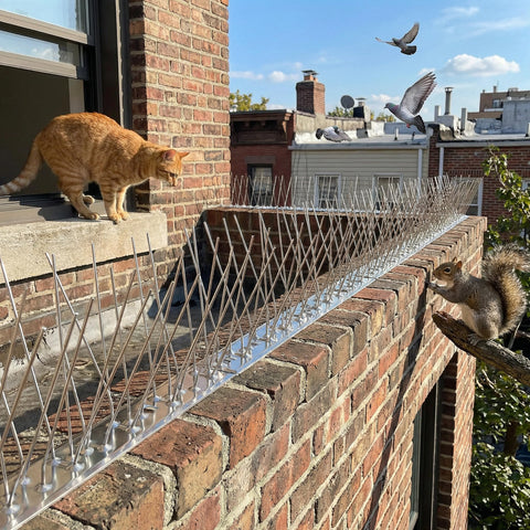 KraAra keeps balconies clean by preventing droppings and nesting near living spaces.