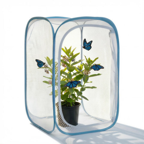 KraAra Habitat Cage pop-up frame, easy setup and roomy interior for caterpillars.
