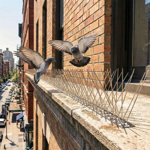 KraAra installation on a roof ledge demonstrates easy mounting and versatility.