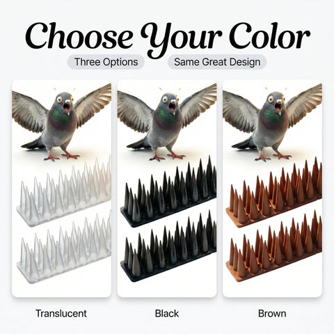 KraAra deterrent helps keep patios cleaner and bird-free