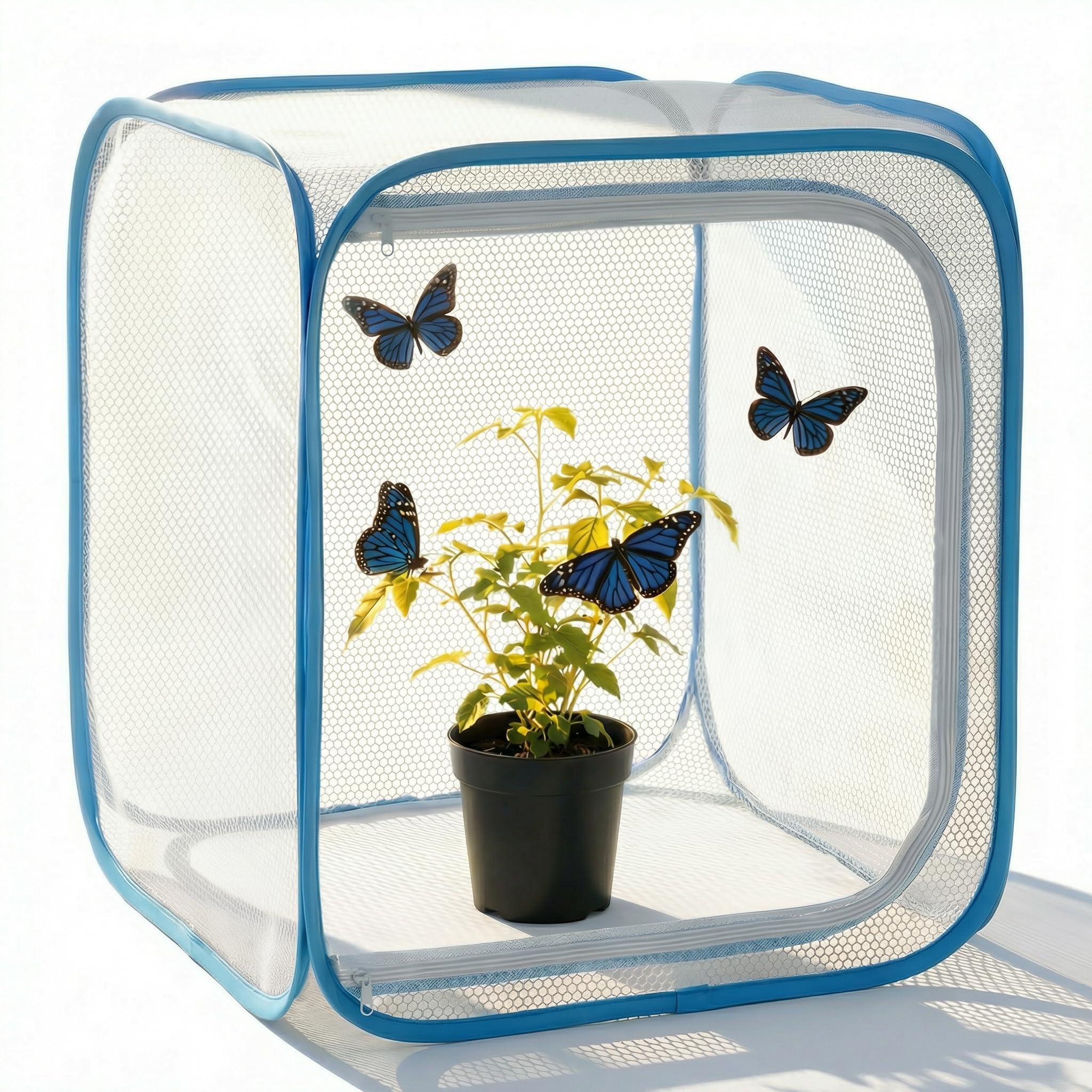KraAra pop-up habitat cage ready for quick setup and classroom observation